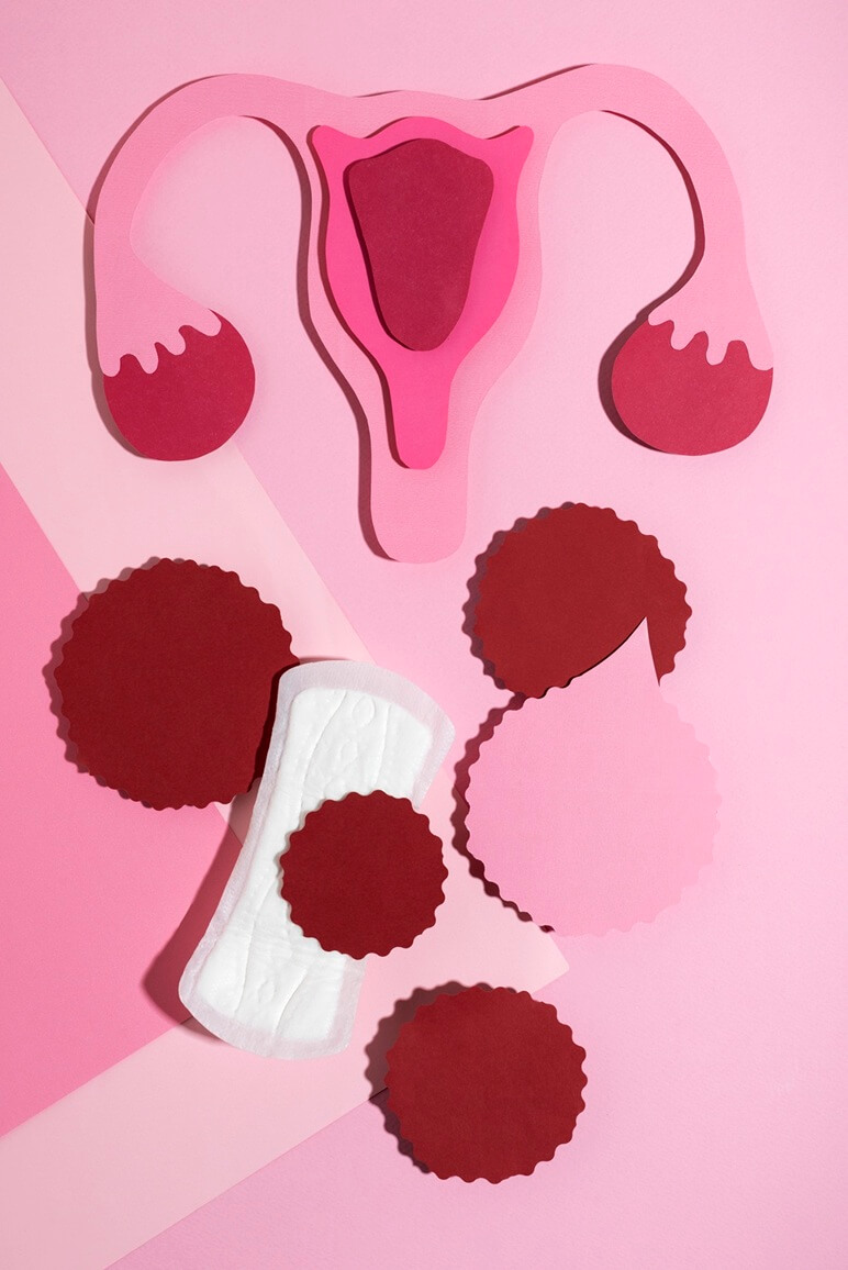 flat lay women reproductive system pad